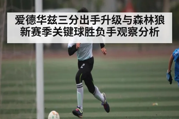 爱德华兹三分出手升级与森林狼新赛季关键球胜负手观察分析
